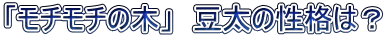 「モチモチの木」　豆太の性格は？