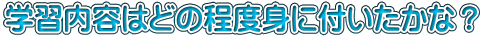 学習内容はどの程度身に付いたかな？