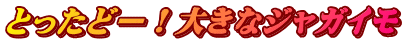 とったどー！大きなジャガイモ