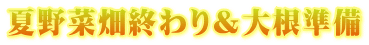 夏野菜畑終わり＆大根準備